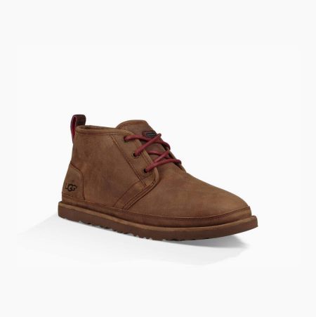 UGG Neumel Weather Brown Ankle Boots for Men (AXIM13624)